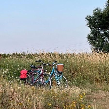 Lwb Ferienwohnung "Auszeit Im Denkmal" Wittenberg Eksteriør billede